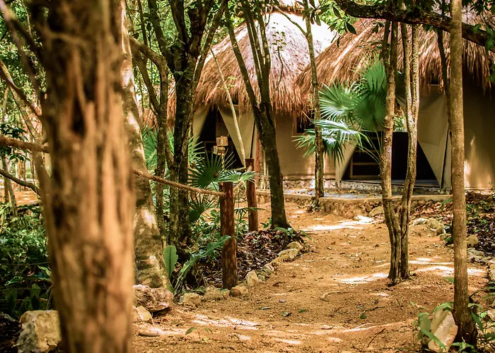 Natura Glamping 3*