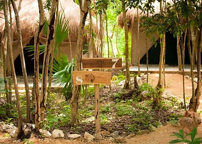 Hotel Natura Glamping Akumal