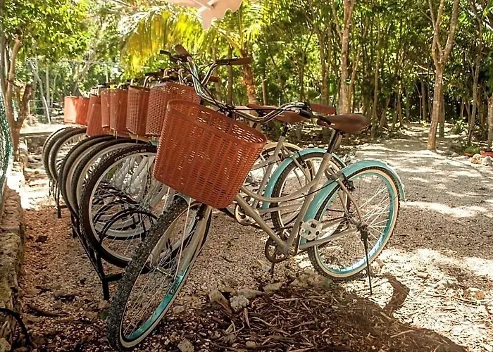 Natura Glamping Akumal