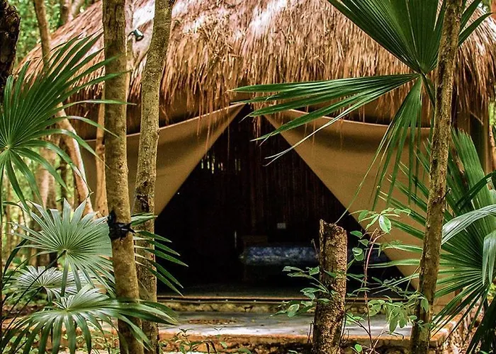 Natura Glamping 3*